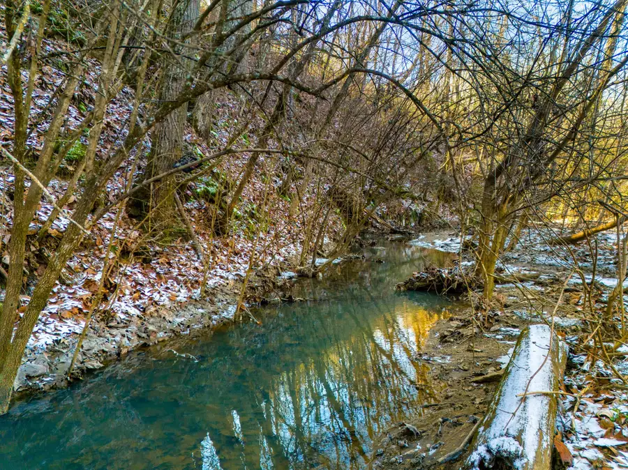 2851 Coffey Road, Morristown, TN 37813 - #2