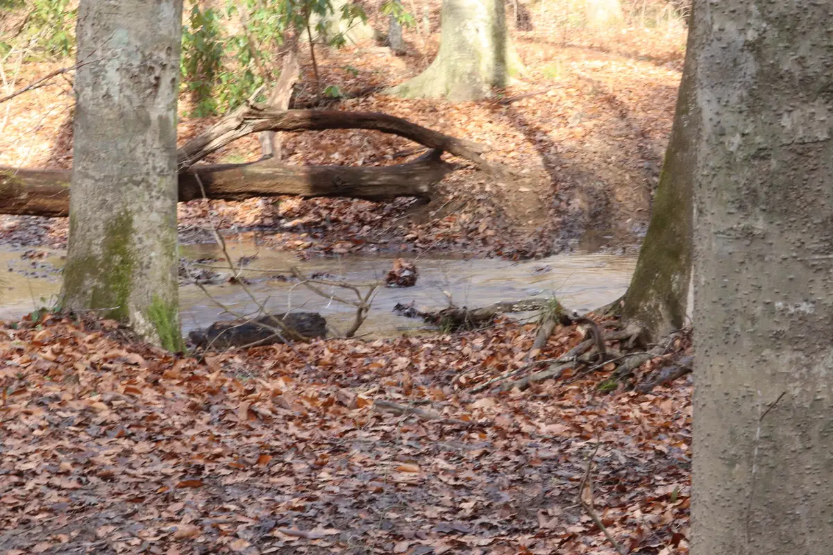 TBD Big Hill Road, Mooresburg, TN 37811 - #1