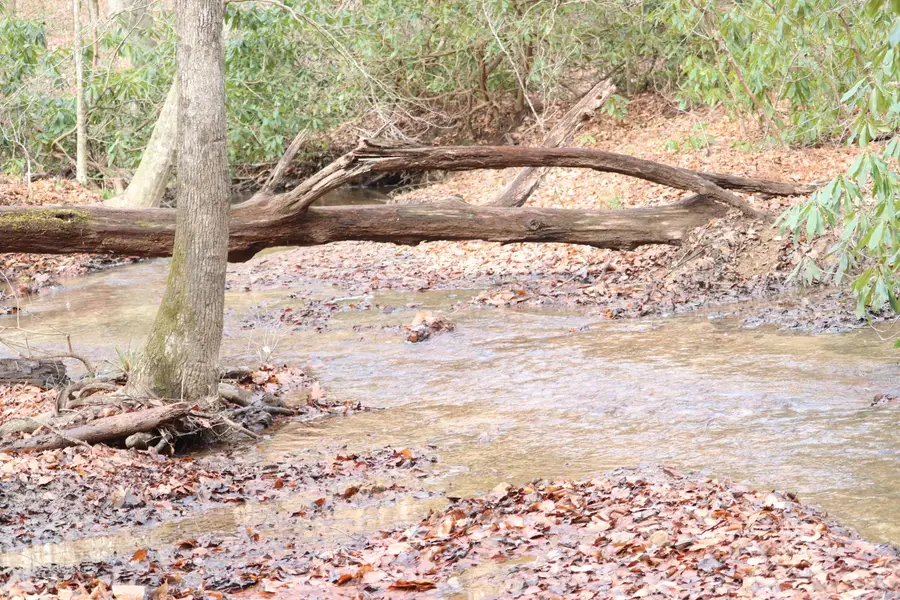 TBD Big Hill Road, Mooresburg, TN 37811 - #2