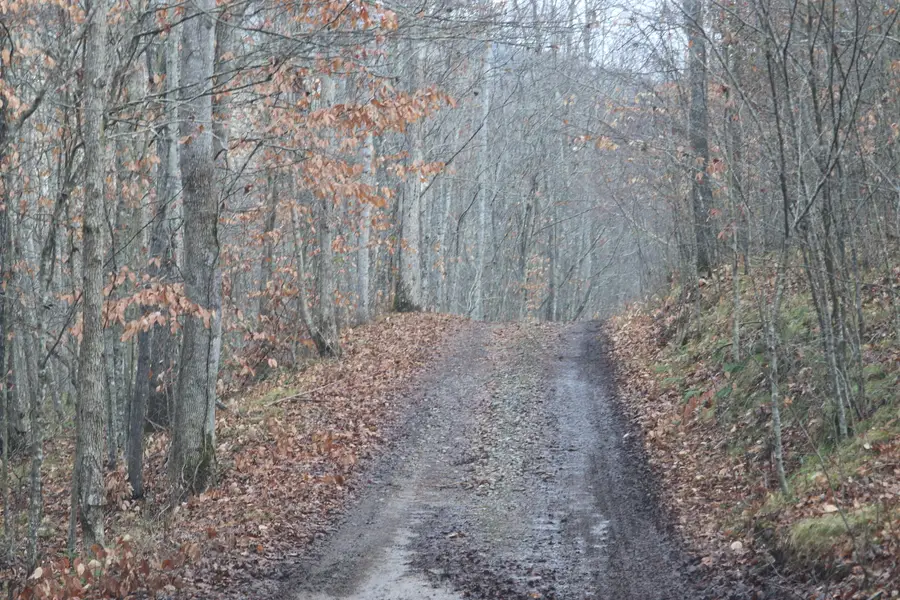TBD Big Hill Road, Mooresburg, TN 37811 - #3