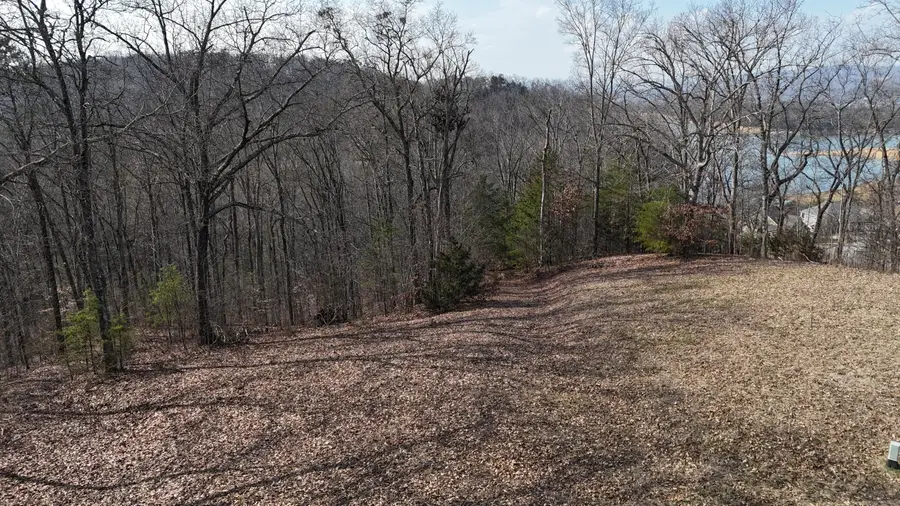 1991 Turners Landing Road, Russellville, TN 37860 - #2