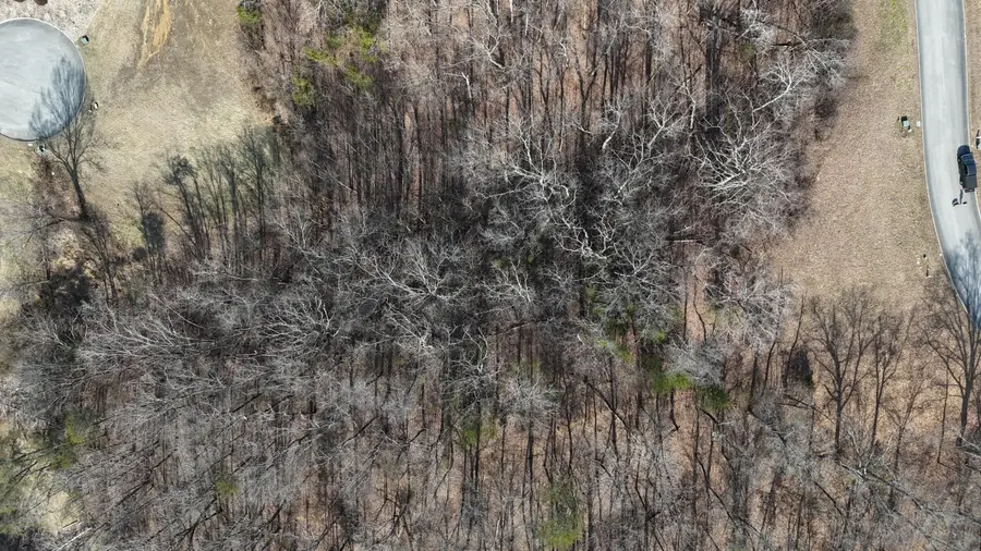 1991 Turners Landing Road, Russellville, TN 37860 - #3