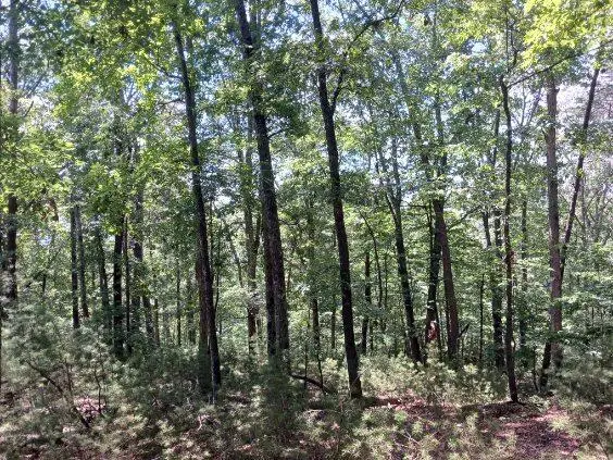 0000 Whisper Way, Newport, TN 37821 - #2