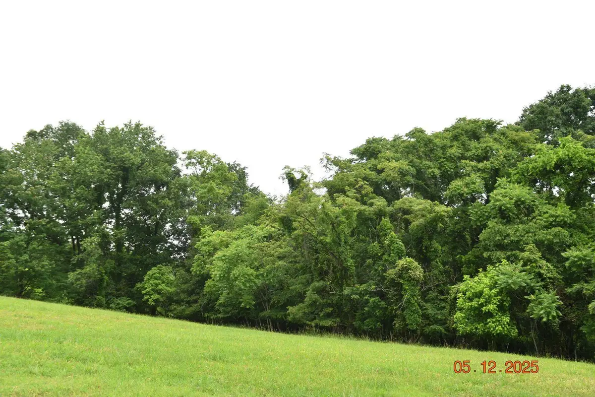 Lot 230 Harbor, Mooresburg, TN 37811 - #1