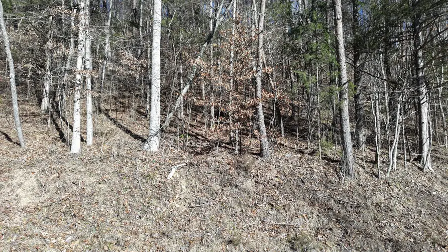 0 Jerry Hollow Road, Andersonville, TN 37705 - #2