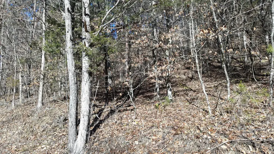 0 Jerry Hollow Road, Andersonville, TN 37705 - #3