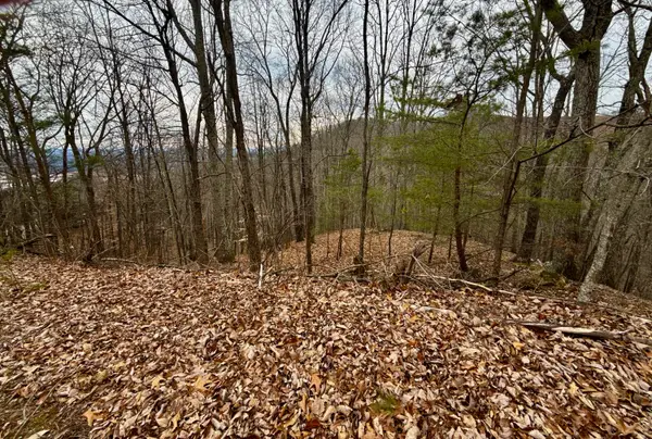 7/AC Tbd Pinnacle Point, Mooresburg, TN 37811