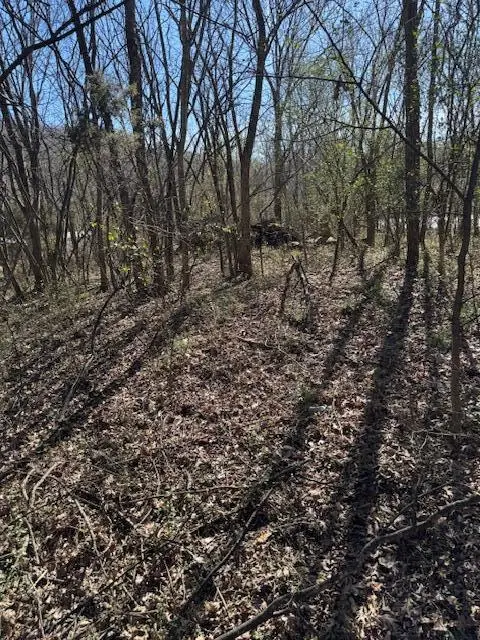 115 Shady Glenn Way, Cosby, TN 37722