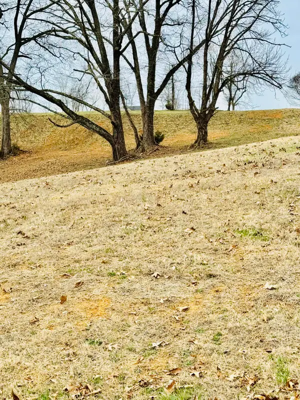 313 Windswept Way, Morristown, TN 37813