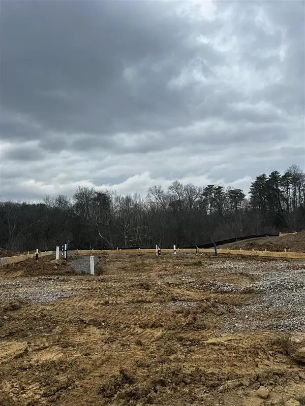 6164 Sycamore Stream Road, Dandridge, TN 37725 - #1