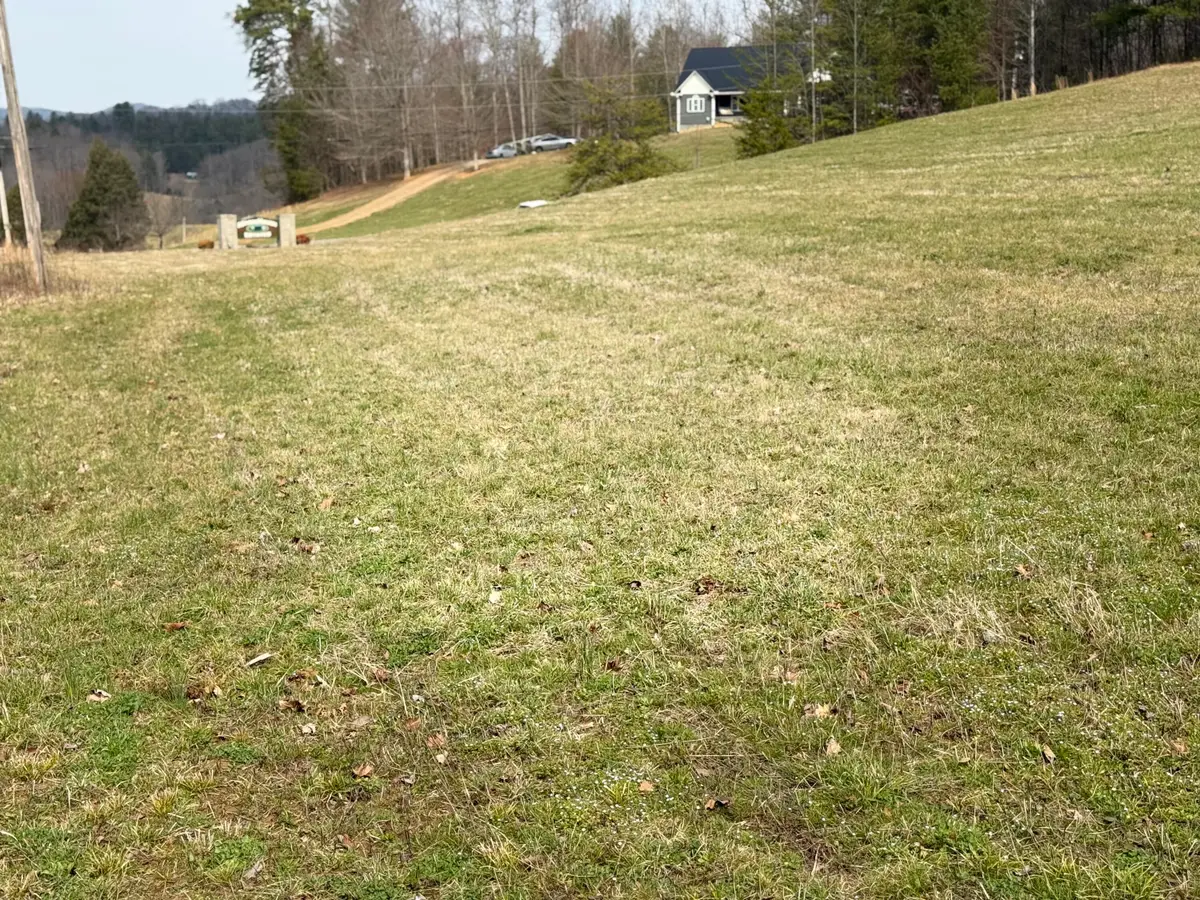 00 Bobcat Trail, Del Rio, TN 37727 - #1