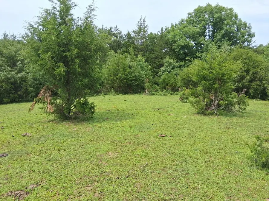 240 Buford Road, Bybee, TN 37713 - #2