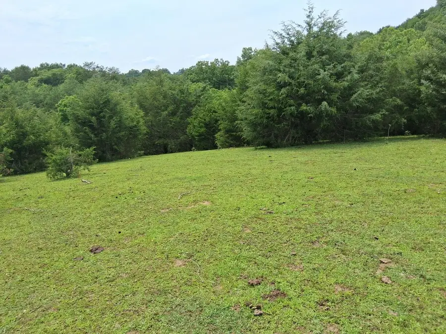 240 Buford Road, Bybee, TN 37713 - #3