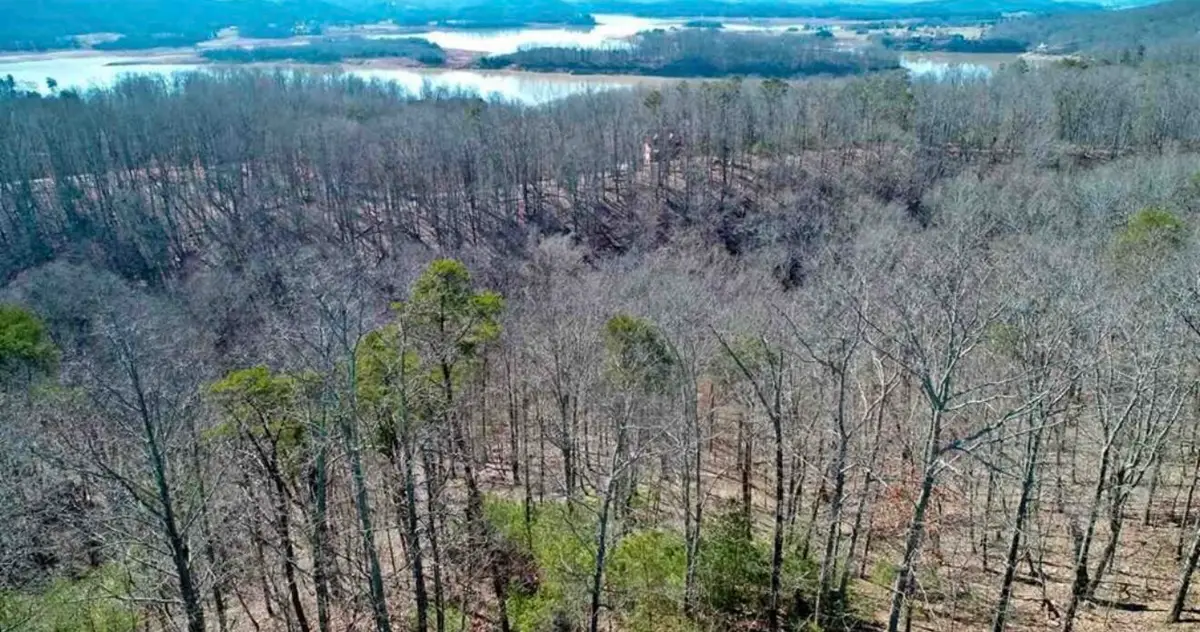1410 Echota Lane, Mooresburg, TN 37811 - #1
