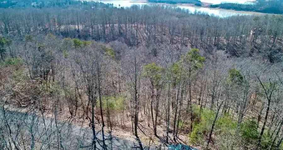 1410 Echota Lane, Mooresburg, TN 37811 - #3