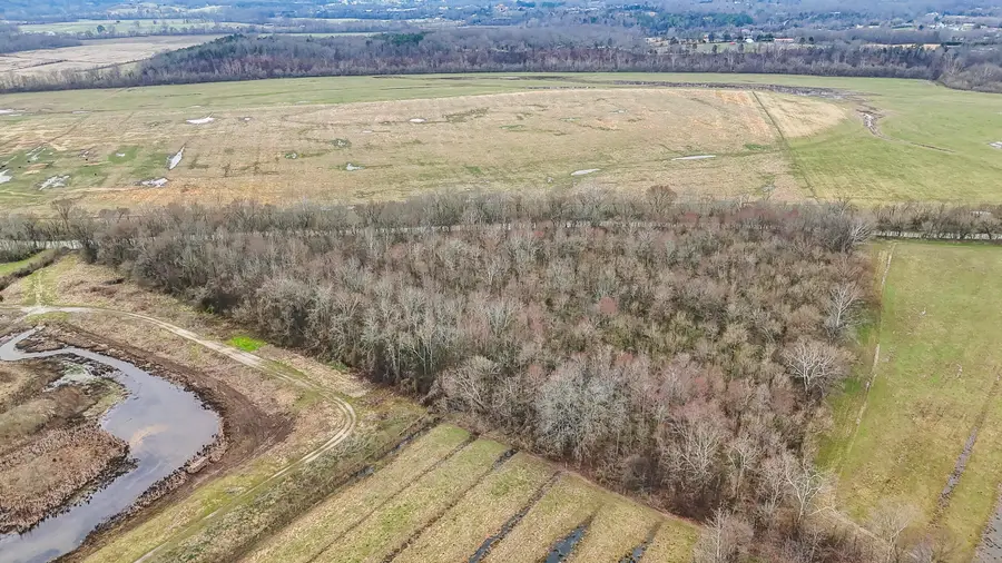 TBD W C Kite Lane, Mosheim, TN 37818 - #2