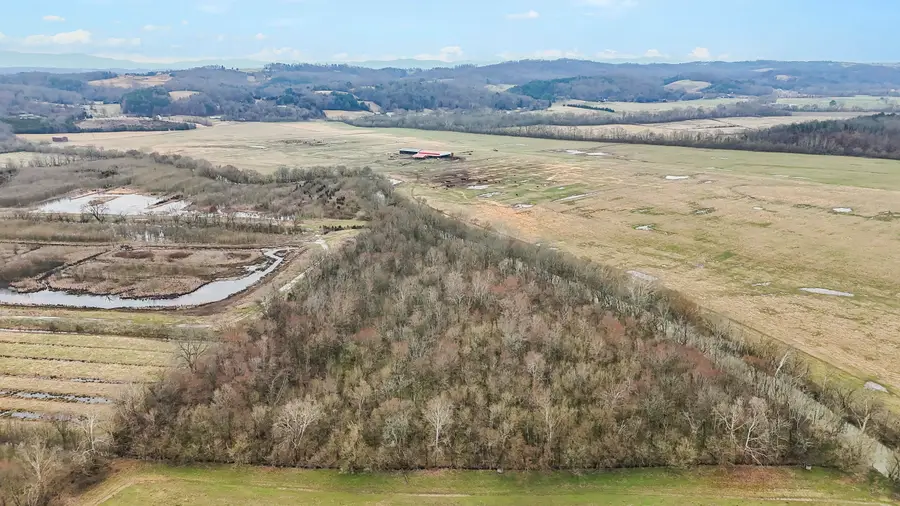 TBD W C Kite Lane, Mosheim, TN 37818 - #3