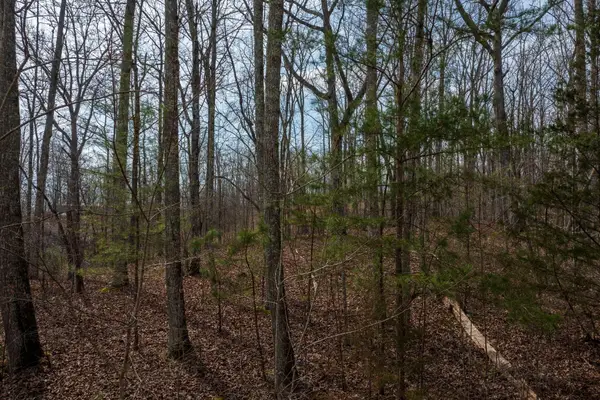 0 Paint Rock Valley Off Road, Philadelphia, TN 37846