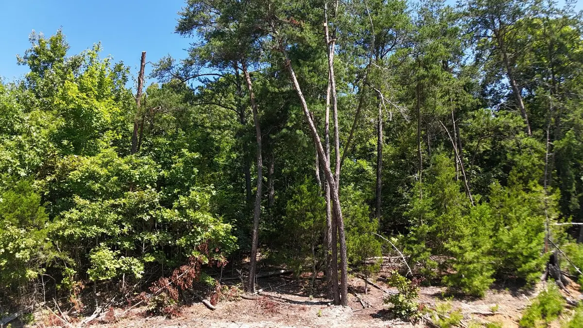 Lot 2 Flat Woods Road, Dandridge, TN 37725 - #1