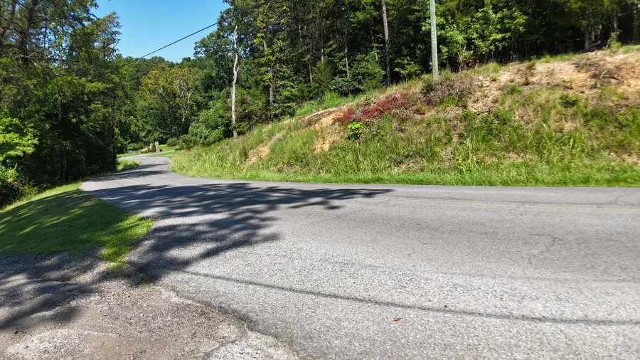 Lot 2 Flat Woods Road, Dandridge, TN 37725 - #2