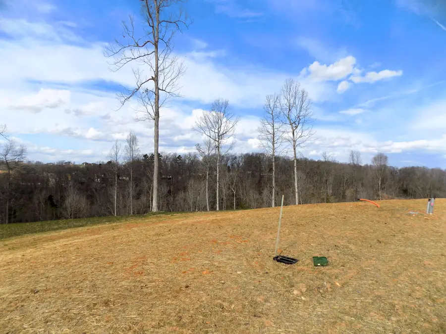 Lot 35 Graystone Shoals, Morristown, TN 37814 - #3