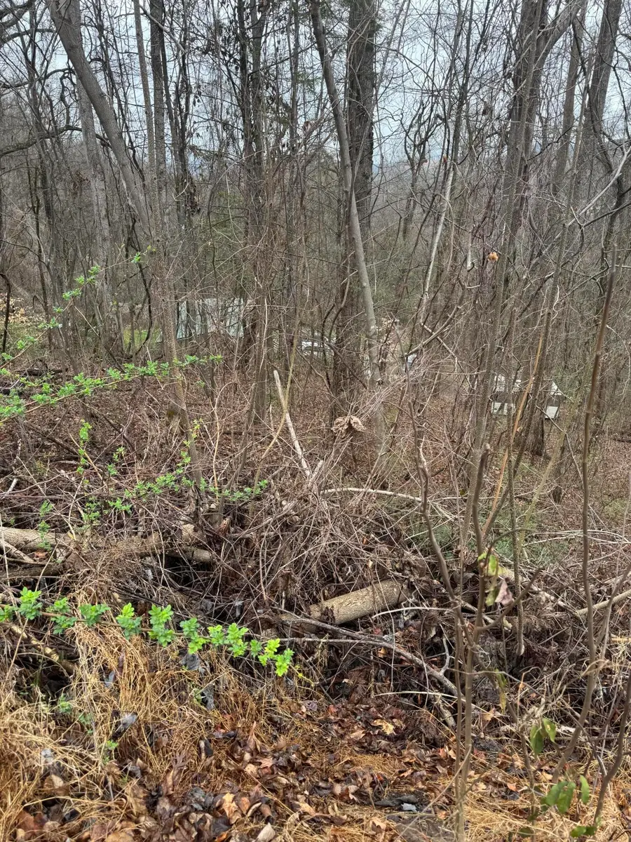 Lot 65 Grand View Way, Cosby, TN 37722 - #2