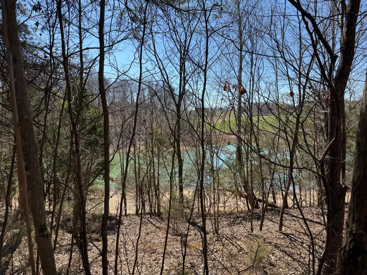 2327 Boat Dock Road, Talbott, TN 37877 - #1