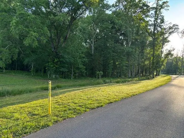 Lot 69 E Deerwood Drive, Dandridge, TN 37725 - #2