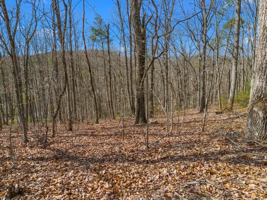 657 Pecan Tree Way, Newport, TN 37821 - #3