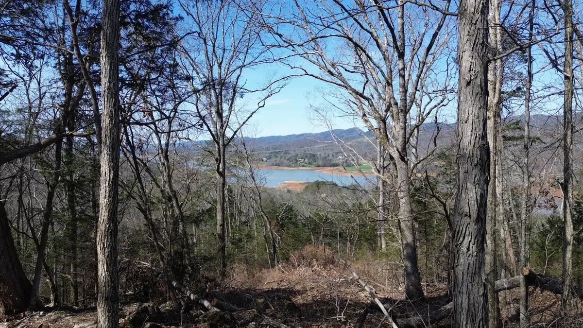 TBD lot 7 Kickin True Way, Bean Station, TN 37708 - #1