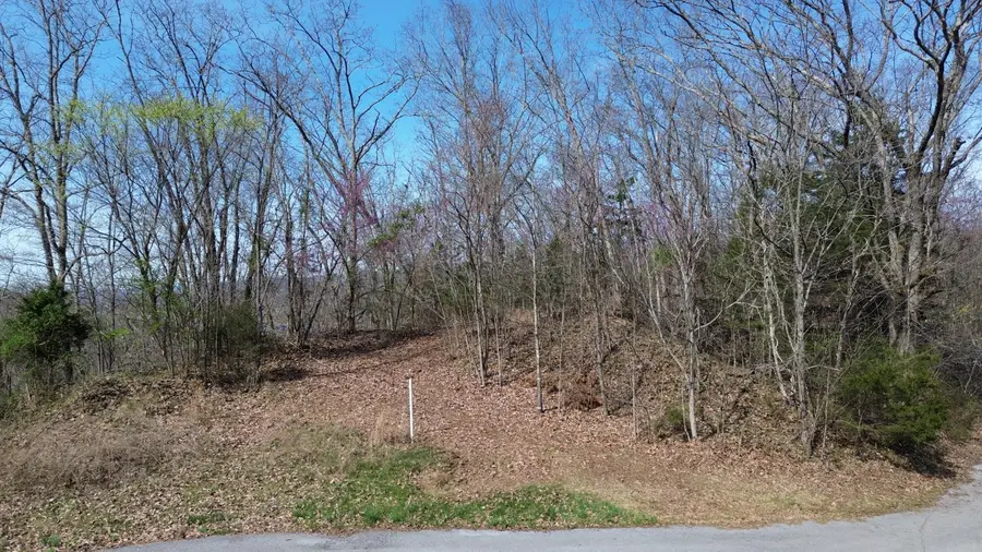 TBD lot 7 Kickin True Way, Bean Station, TN 37708 - #3