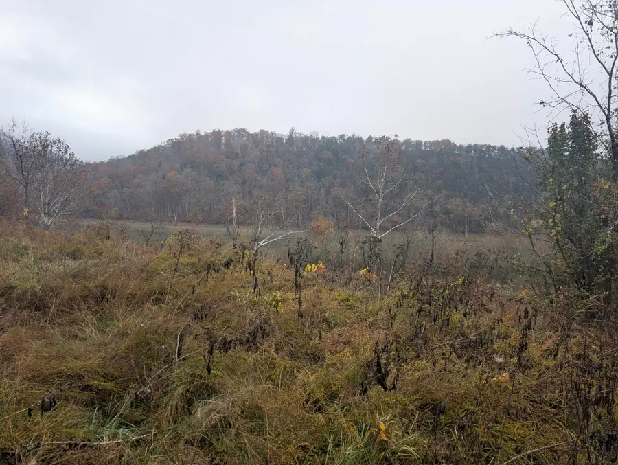 00 Long Beard Lane, Tazewell, TN 37879 - #3