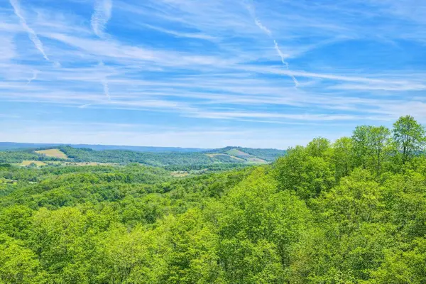 00 Hensley Hollow Road, Dandridge, TN 37725