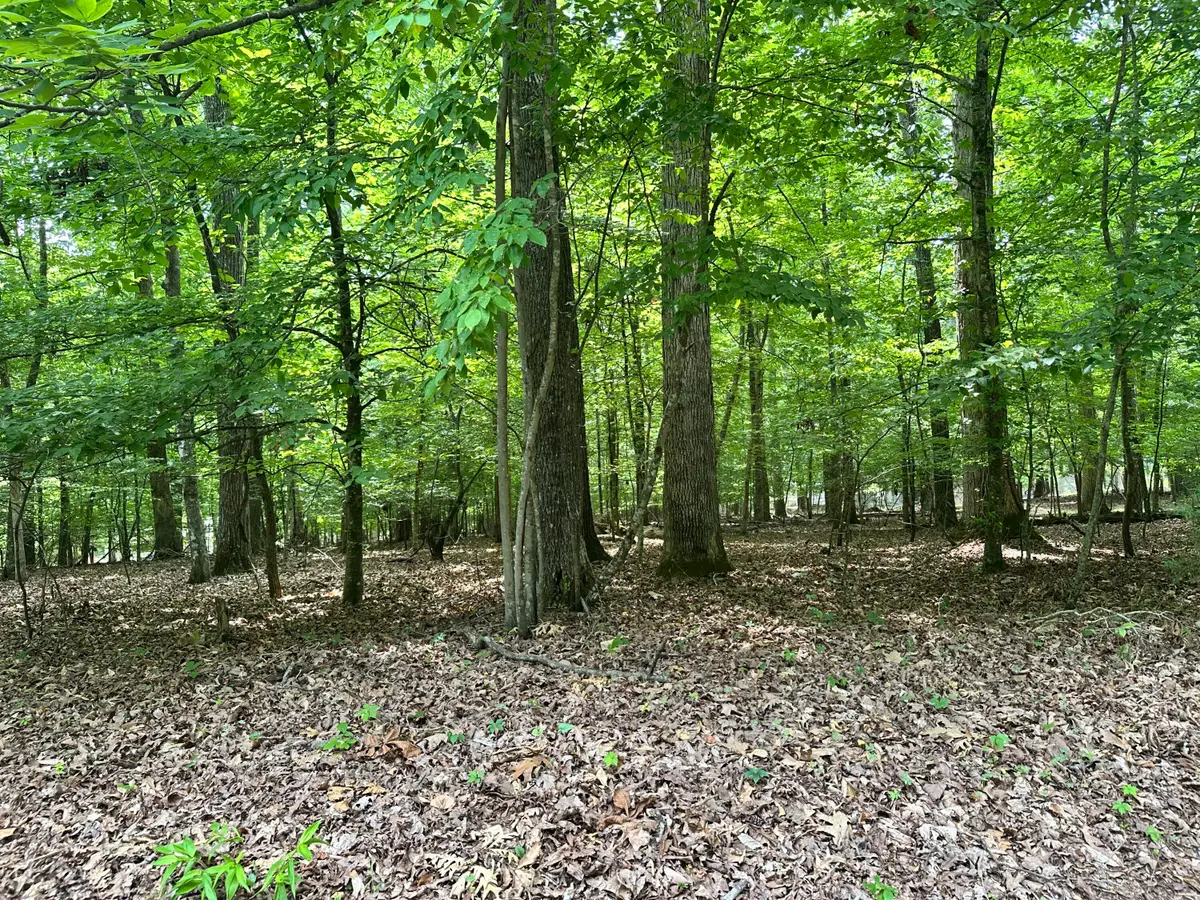 8 Woods Ridge Road, Dandridge, TN 37725 - #1