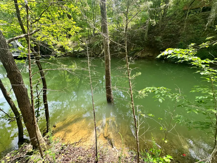 8 Woods Ridge Road, Dandridge, TN 37725 - #3