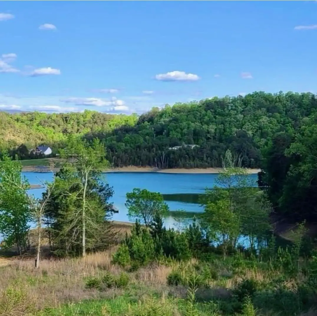 Lot 24 Emerald Pointe Boulevard, Sevierville, TN 37876 - #1