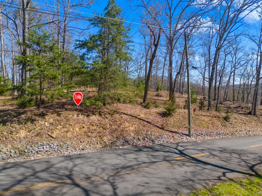 337 Chelaque Way, Mooresburg, TN 37811 - #2