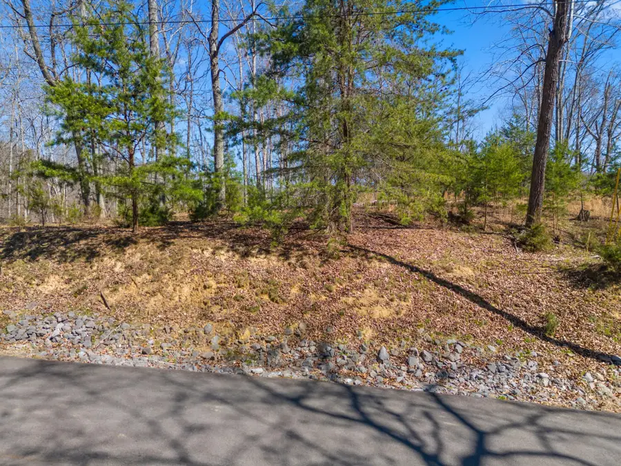 337 Chelaque Way, Mooresburg, TN 37811 - #3