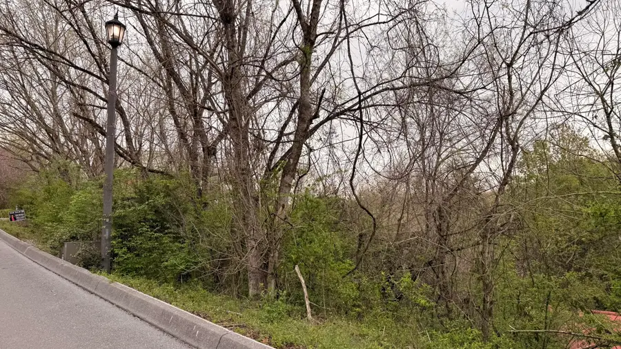 Lot 4 Hideaway Ridge Circle, Sevierville, TN 37876 - #3