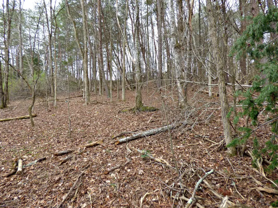 Lot 13 Back Nine Drive, Baneberry, TN 37890 - #3