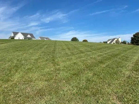 1199 Shinbone Road, Russellville, TN 37860 - #1