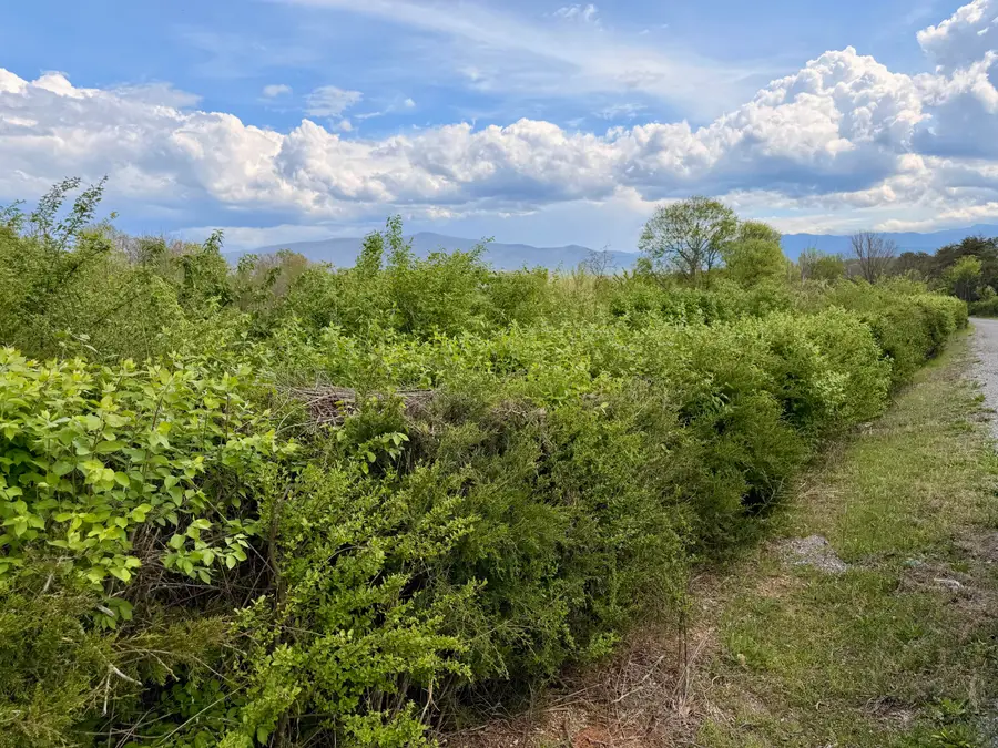 0 Cosby Highway, Newport, TN 37821 - #2