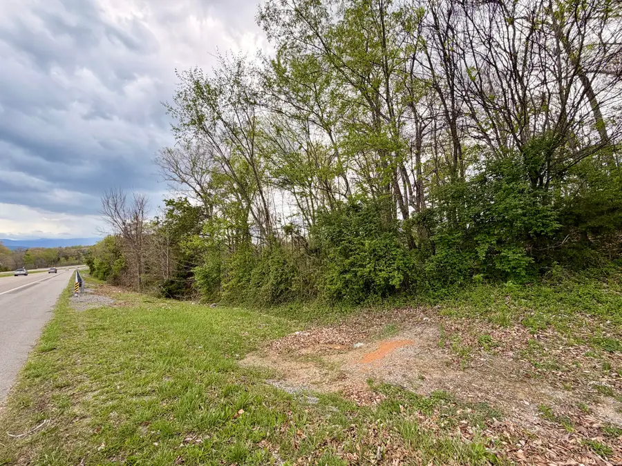 0 Cosby Highway, Newport, TN 37821 - #3