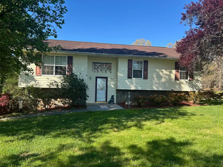 163 Austin Drive, Rogersville, TN 37857 - #3