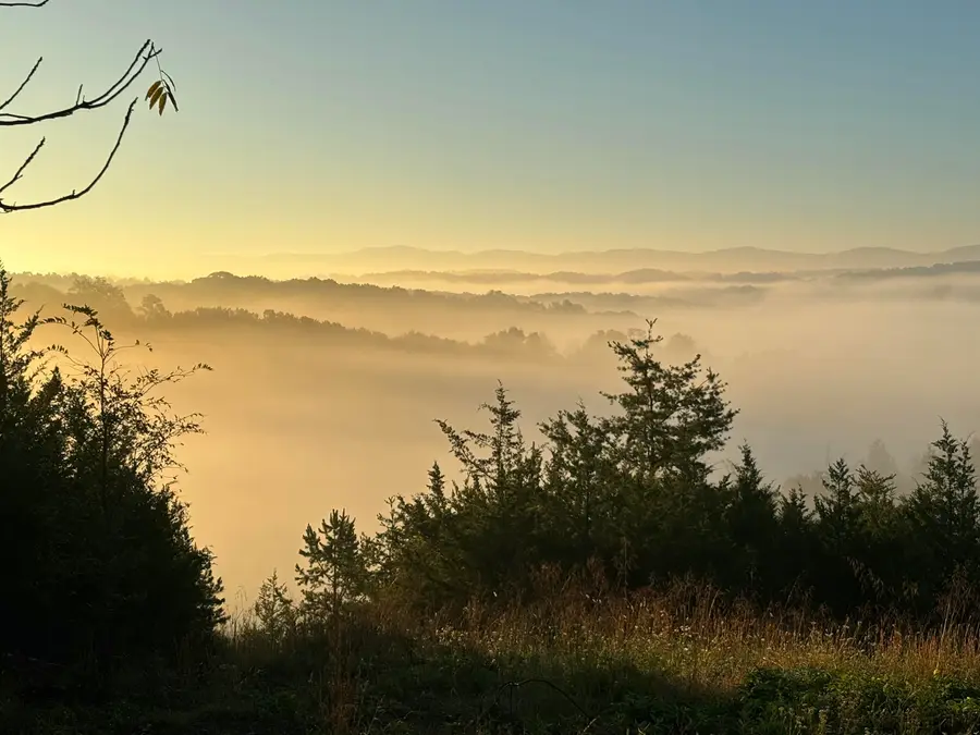 1355 Jackson Hollow Road, Mosheim, TN 37818 - #3