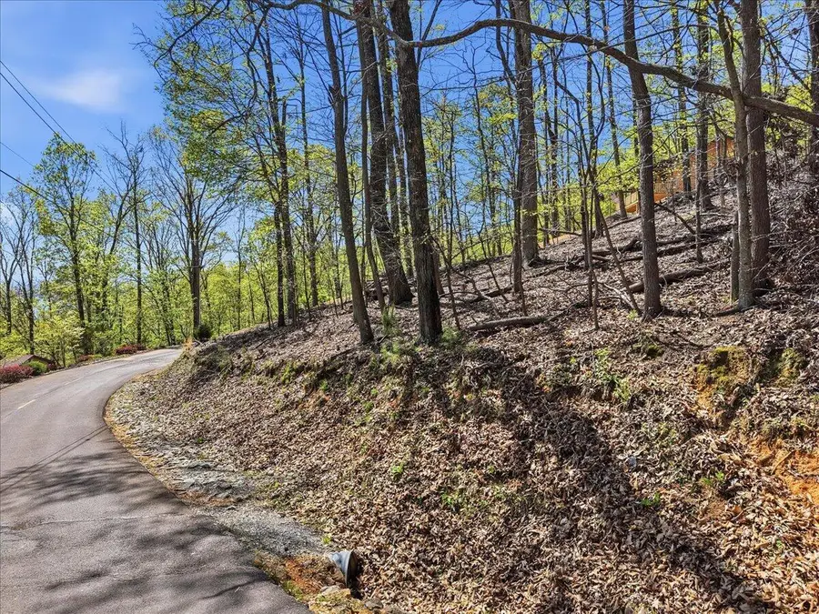 1202 Keetoowah Drive, Mooresburg, TN 37811 - #3