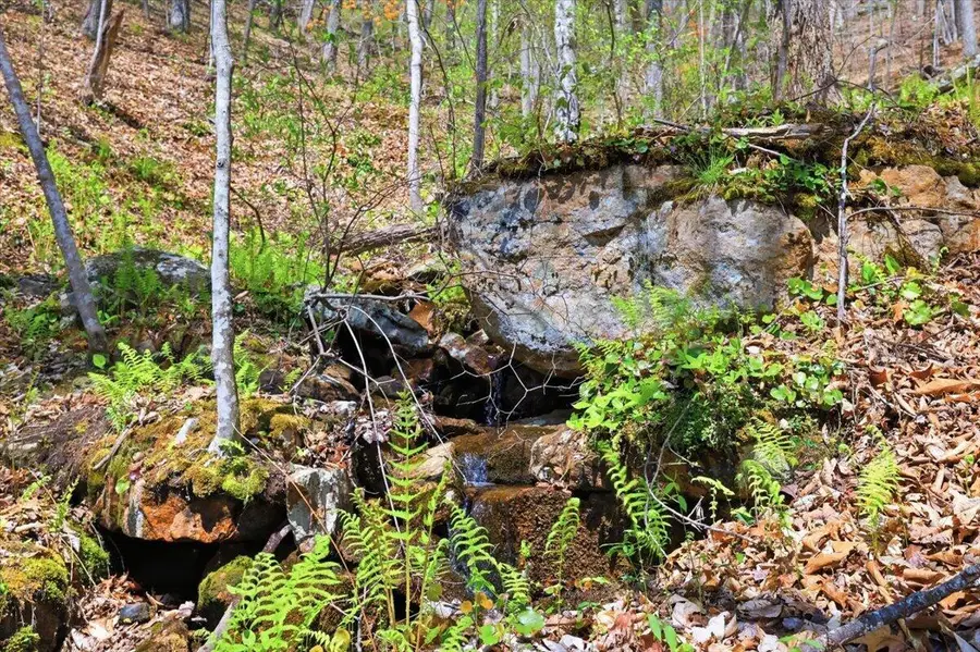 Address Withheld By Seller, Rogersville, TN 37857 - #2