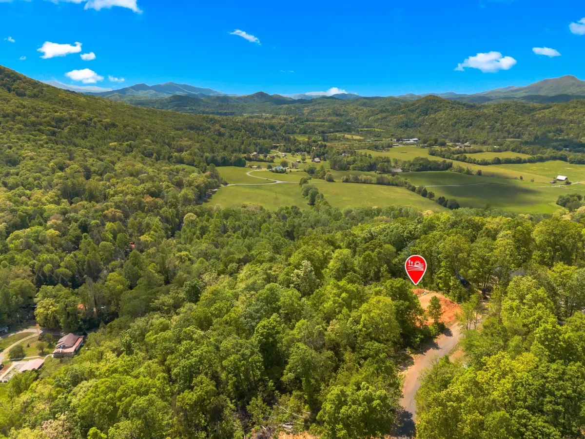 520 Stevia Way, Cosby, TN 37722 - #1