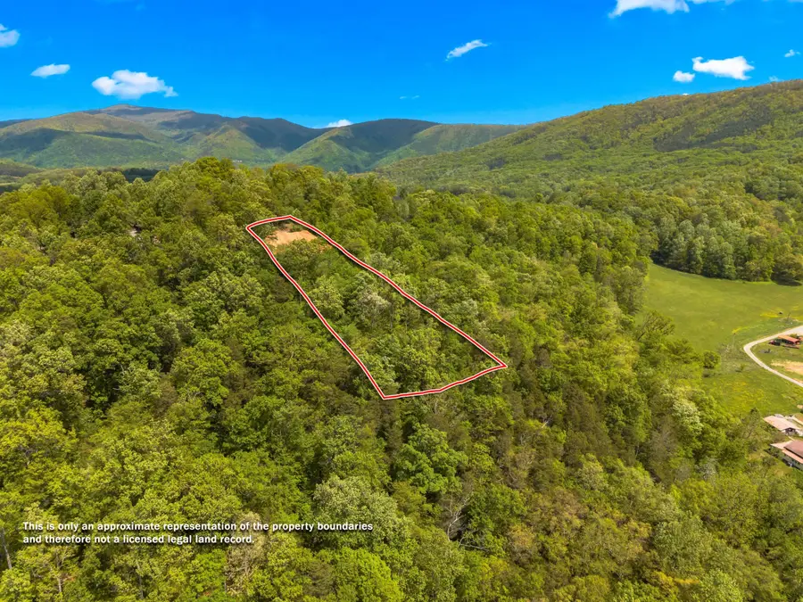 520 Stevia Way, Cosby, TN 37722 - #2