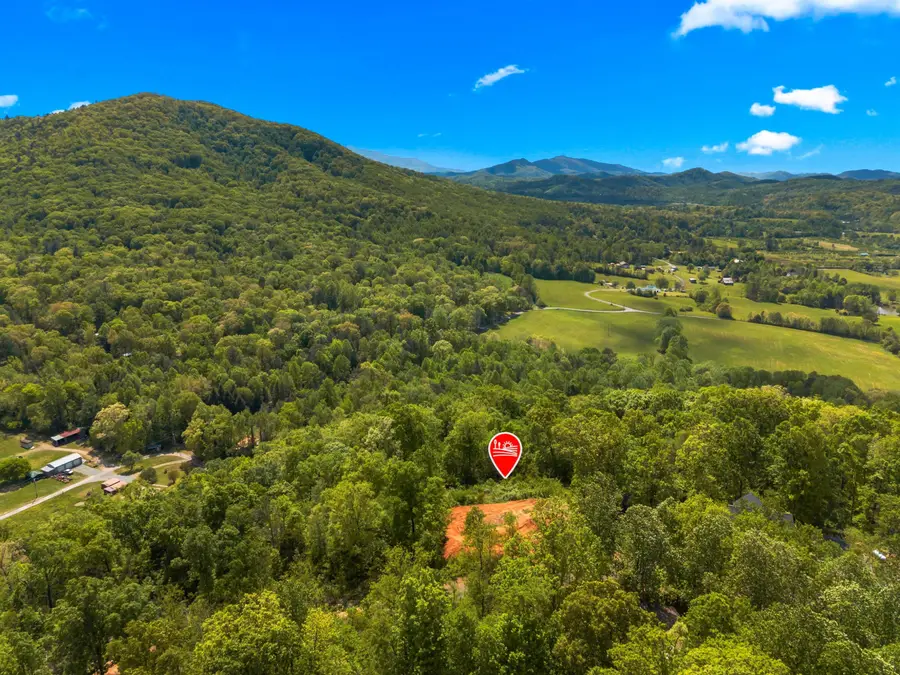 520 Stevia Way, Cosby, TN 37722 - #3